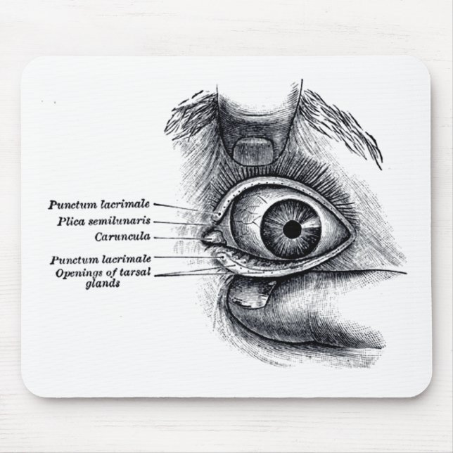 Mousepad A anatomia do cinza - globo ocular (Frente)