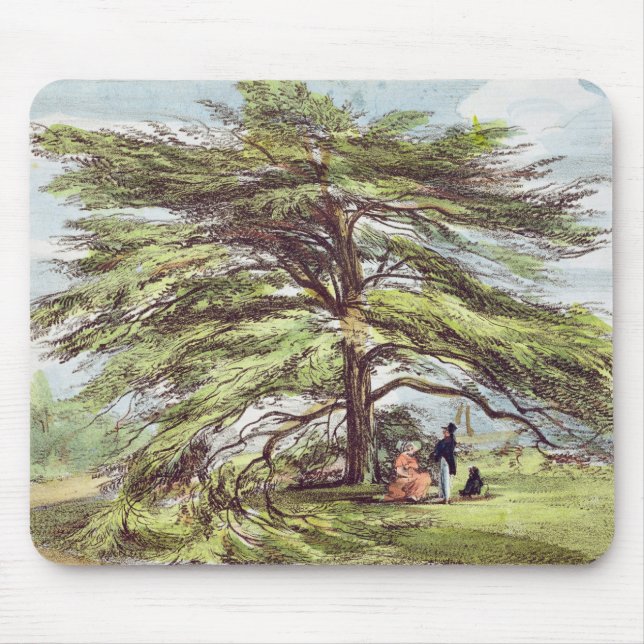 Mousepad A árvore de cedro de Líbano no arboreto, Kew Garde (Frente)