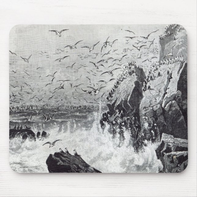 Mousepad A assombração das gaivota (Frente)