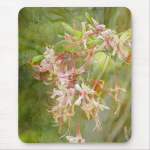 Mousepad A azálea selvagem floresce = primavera