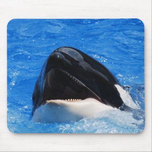 Mousepad A baleia soa o tapete do rato