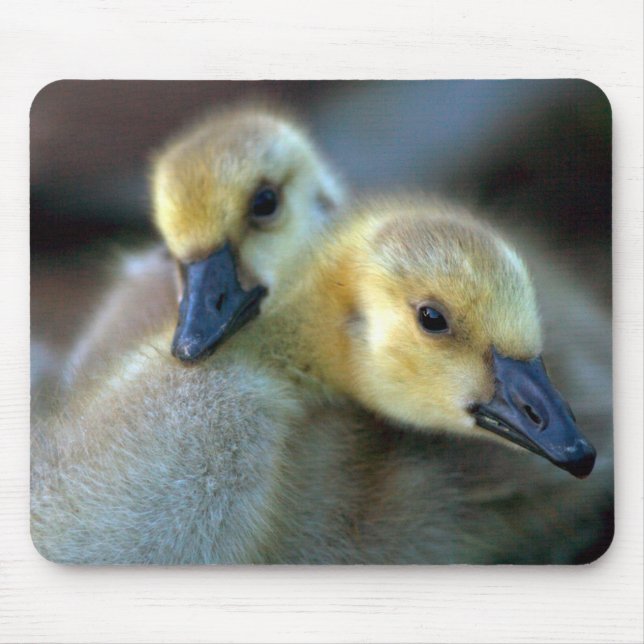 Mousepad À beira do lago (Frente)