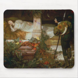 Mousepad A Bela Adormecida (Bela Princesa da História de Fa