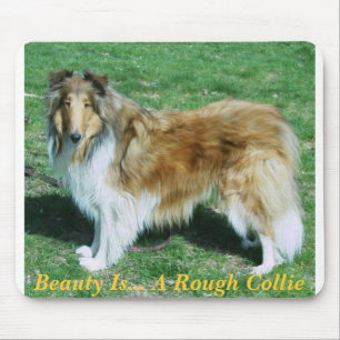 Mousepad A beleza é… Um Collie áspero