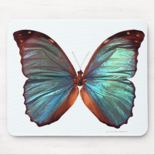 Mousepad A borboleta com asas espalhou 2