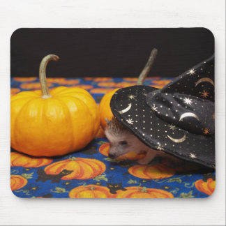 Mousepad A bruxa a mais pequena da conversão