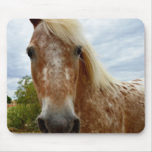 Mousepad "A Carona de Açúcar: A Graça de Appaloosa"