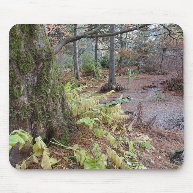 Mousepad A cena do outono num jardim botânico. (Frente)