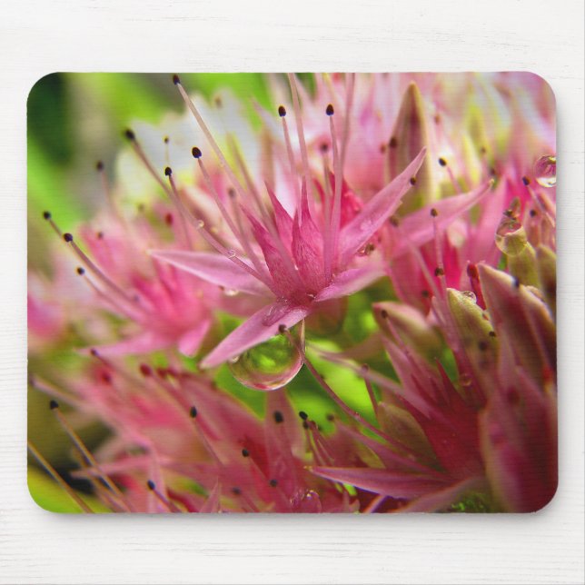 Mousepad A coroa feericamente (Frente)