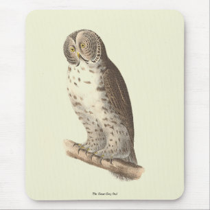 Mousepad A Coruja das Cinzas Excelentes (Strix nebulosa) NY