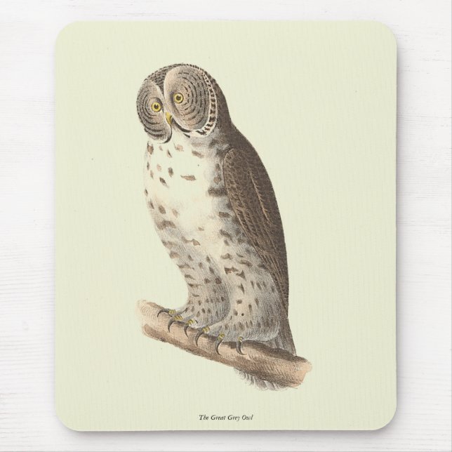 Mousepad A Coruja das Cinzas Excelentes (Strix nebulosa) NY (Frente)
