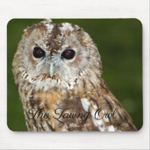 Mousepad A Coruja Tawny