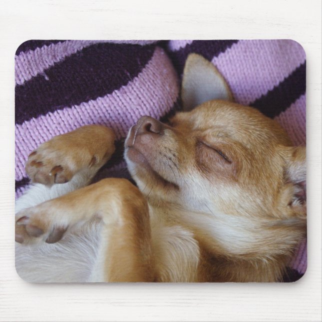 Mousepad A dormir Chihuahua (Frente)