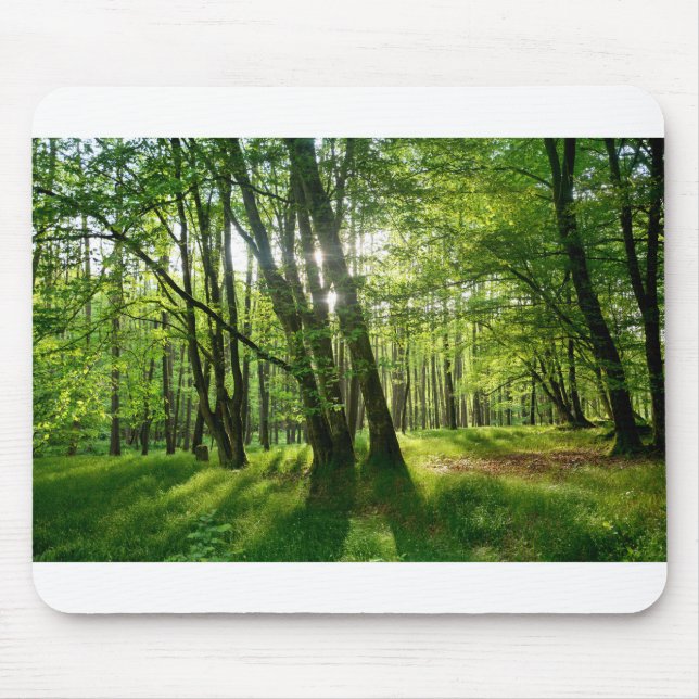 Mousepad A floresta na primavera (Frente)
