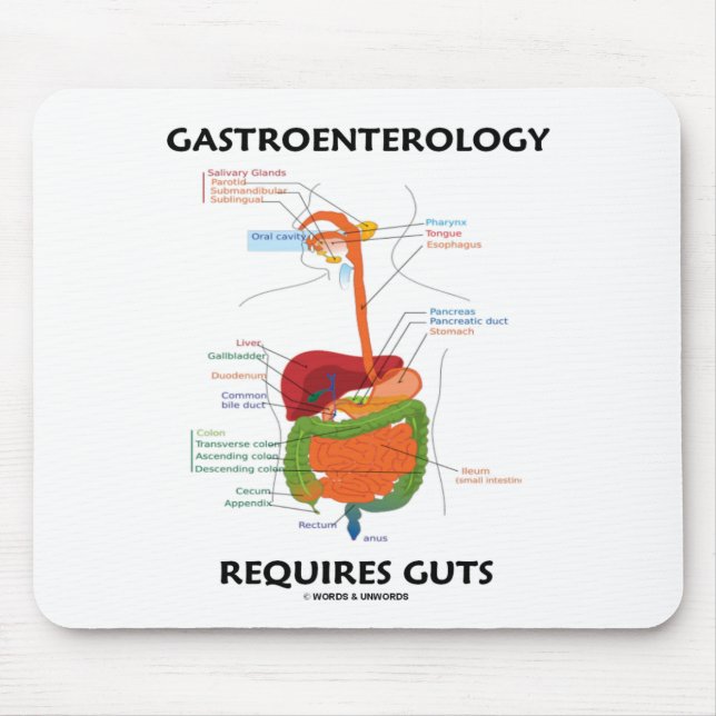 Mousepad A gastroenterologia exige a entranhas (o sistema (Frente)