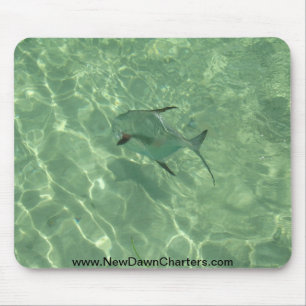 Mousepad A liberação