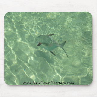 Mousepad A liberação