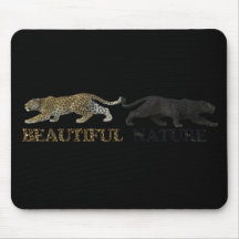 A linda natureza leopardo