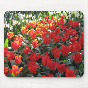 Mousepad A língua a mais verdadeira do amor