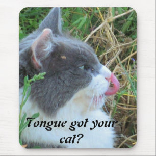 Mousepad A língua obteve seu gato? Meme