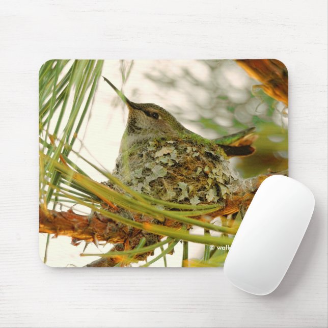 Mousepad A mãe do beija-flor da Anna no Ninho (Com mouse)