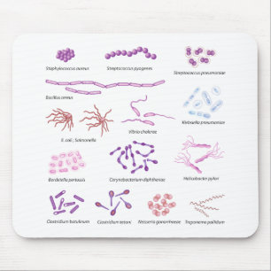 Mousepad A maioria de bactérias comuns que contaminam