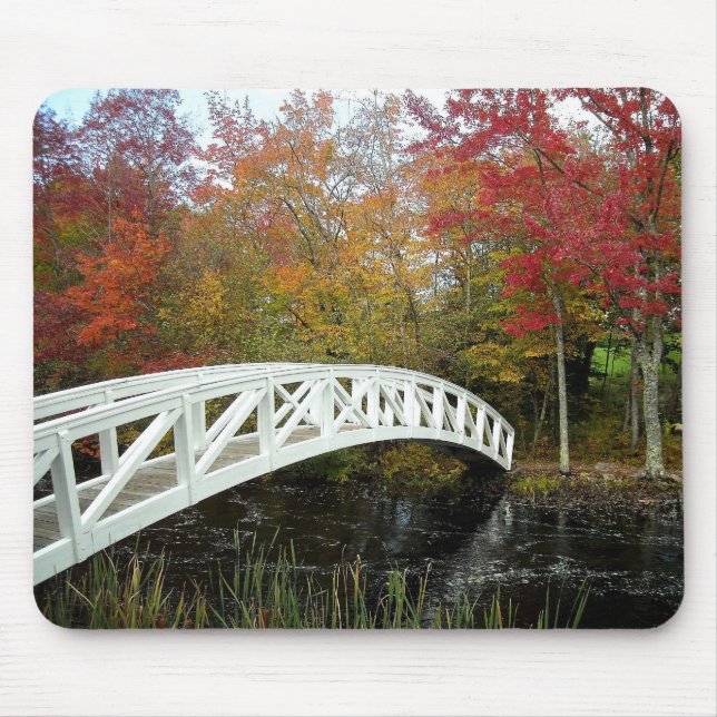 Mousepad A maioria fotografaram o ponto (Frente)