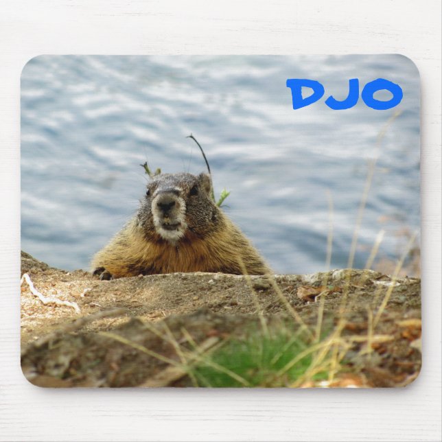 Mousepad A marmota de Spokane diz, "Sup? Obteve uma (Frente)