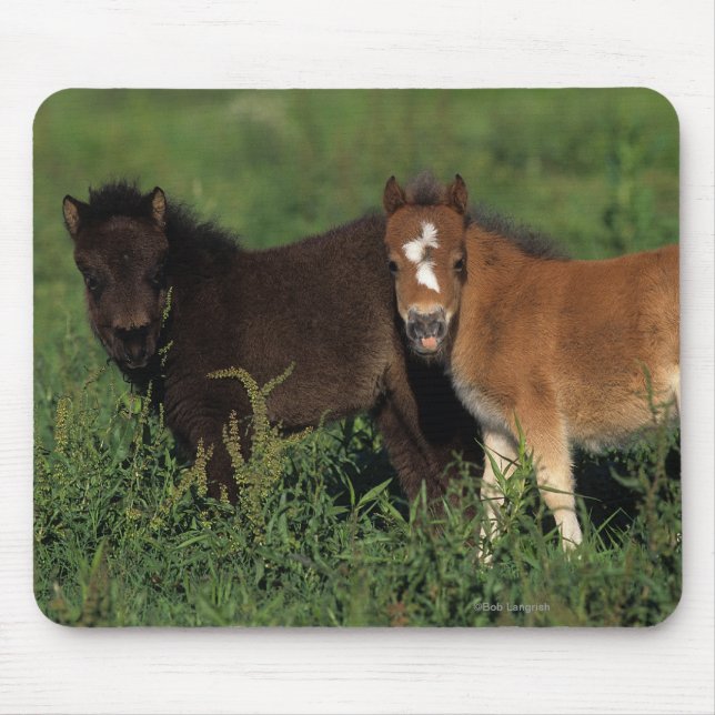 Mousepad A miniatura Foals na grama (Frente)