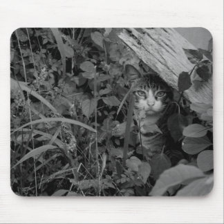 Mousepad A moradia de um andarilho