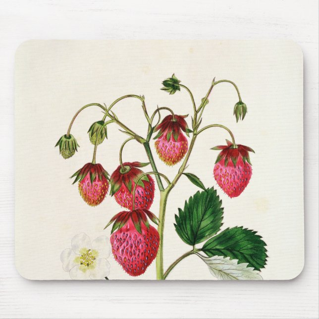 Mousepad A morango de Roseberry, gravada por Watte (Frente)