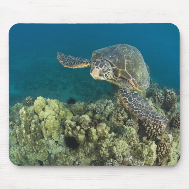 Mousepad A Tartaruga Marinha Verde, (Chelonia mydas), é a 2 (Frente)