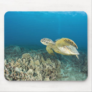 Mousepad A Tartaruga Marinha Verde, (Chelonia mydas), é a 3