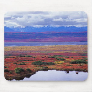 Mousepad A tundra do Parque Nacional Denali no final