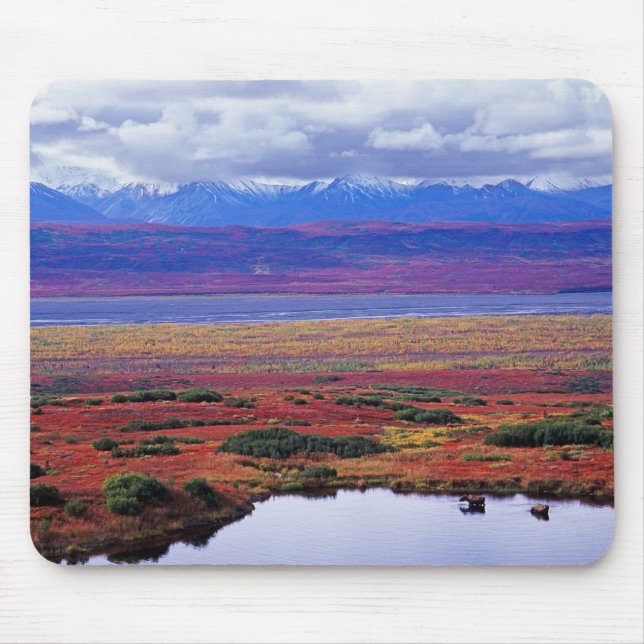 Mousepad A tundra do Parque Nacional Denali no final (Frente)