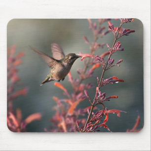 Mousepad A vida é doce