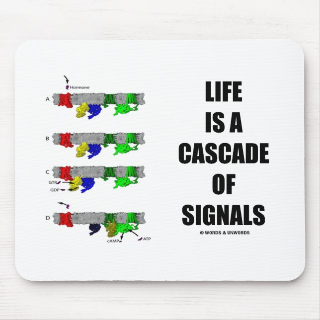 Mousepad A vida é uma cascata dos sinais (a transdução do (Frente)