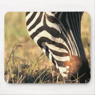 Mousepad A zebra de Burchell