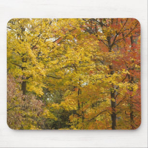 Mousepad aaa