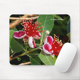 Mousepad Abacaxi Guava / Flores de Guavasteen