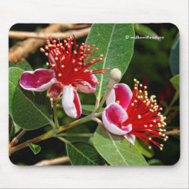 Mousepad Abacaxi Guava / Flores de Guavasteen