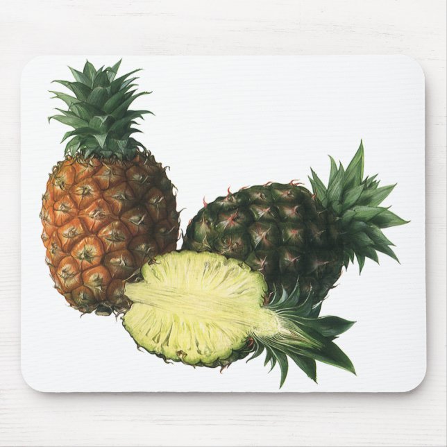 Mousepad Abacaxis havaianos vintage, frutas orgânicas (Frente)