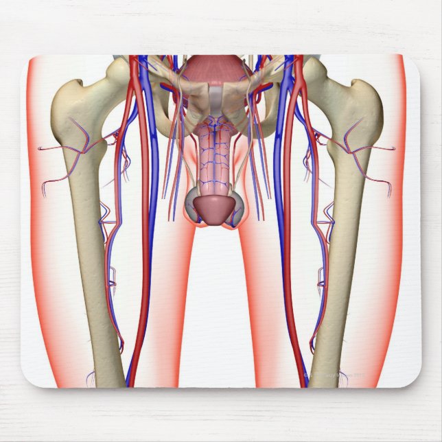 Mousepad Abastecimento de sangue (Frente)