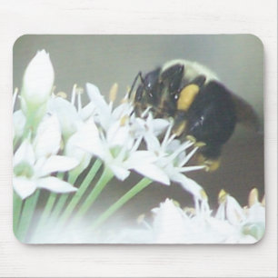 Mousepad Abelha