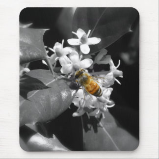 Mousepad Abelha & azevinho do mel