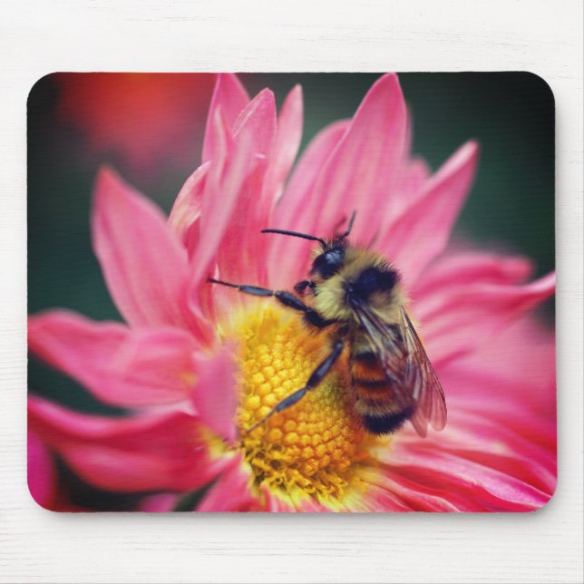 Mousepad Abelha-Bumble Na Flor-Daisy Rosa (Frente)