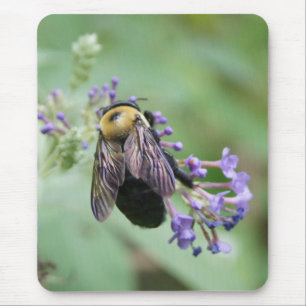 Mousepad Abelha da Abelha-autiful