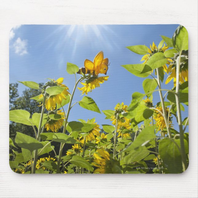 Mousepad abelha da extra grande no girassol (Frente)