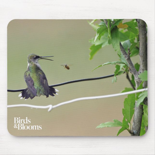 Mousepad Abelha do colibri & do mel (Frente)