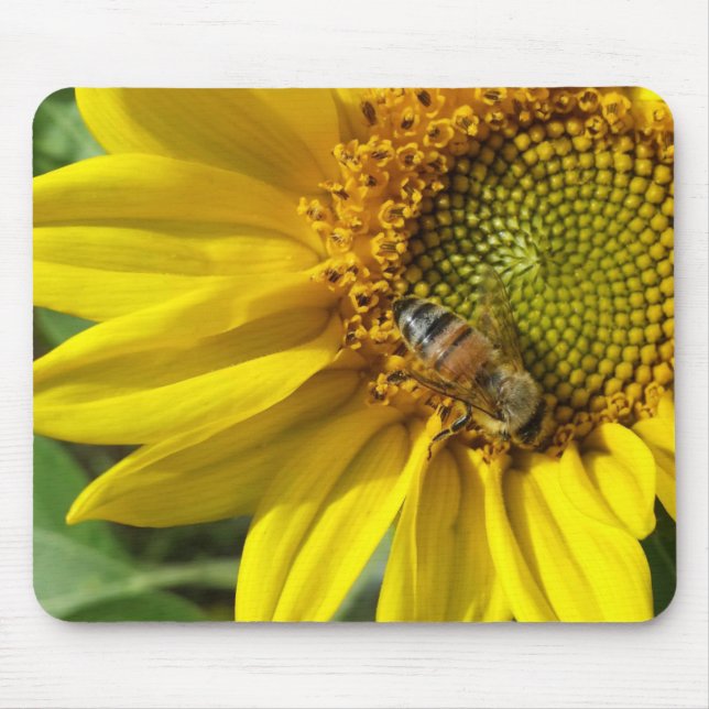 Mousepad Abelha do mel do girassol amarelo (Frente)